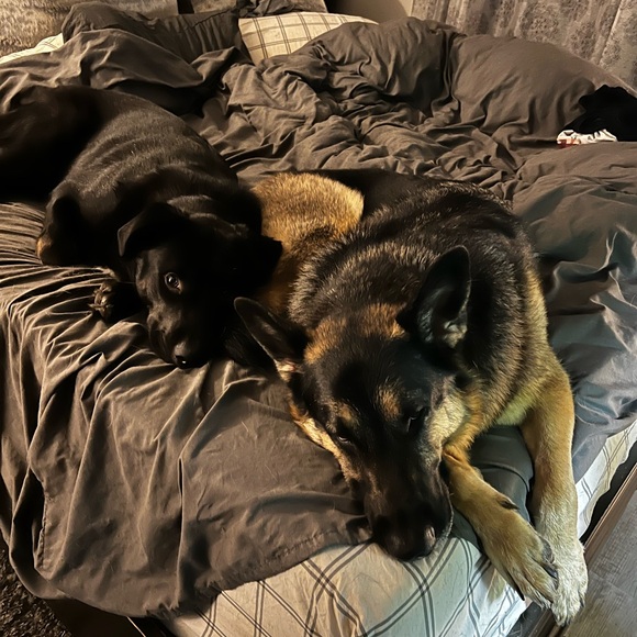 Meet your Posher, Amie - Picture 4 of 16